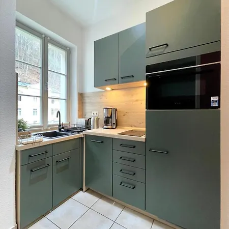 Apartment Monsei - Herzstück In Bad Schandau, Lage, Modern, Mit Parkplatz! Bad Schandau