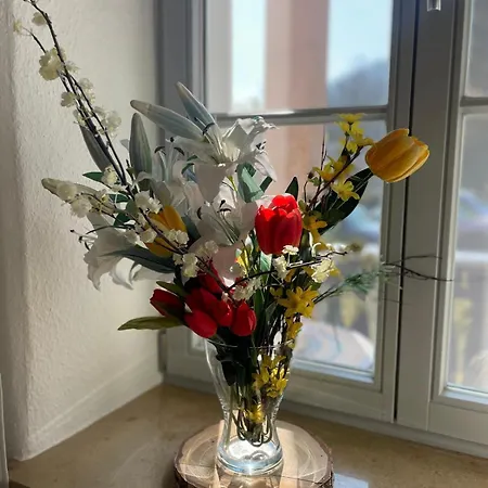 Apartment Monsei - Herzstück In Bad Schandau, Lage, Modern, Mit Parkplatz!