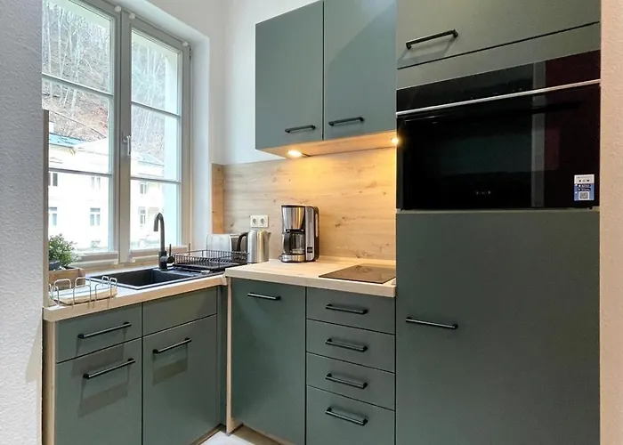 公寓 Monsei - Herzstueck In Bad Schandau, Lage, Modern, Mit Parkplatz! 巴特尚道