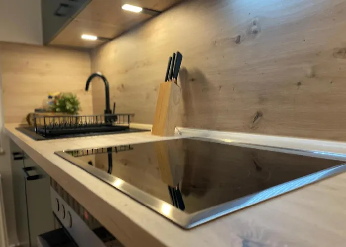 公寓 Monsei - Herzstueck In Bad Schandau, Lage, Modern, Mit Parkplatz! 巴特尚道