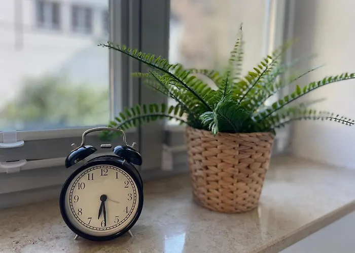 Monsei - Herzstueck In Bad Schandau, Lage, Modern, Mit Parkplatz! 公寓