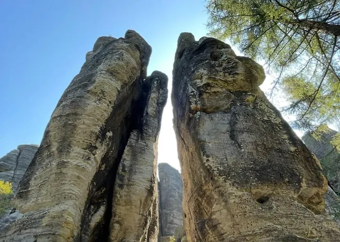 Monsei - Herzstueck In Bad Schandau, Lage, Modern, Mit Parkplatz! * 巴特尚道