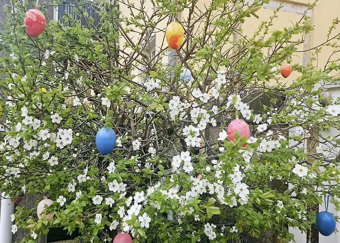 公寓 Monsei - Herzstueck In Bad Schandau, Lage, Modern, Mit Parkplatz! *